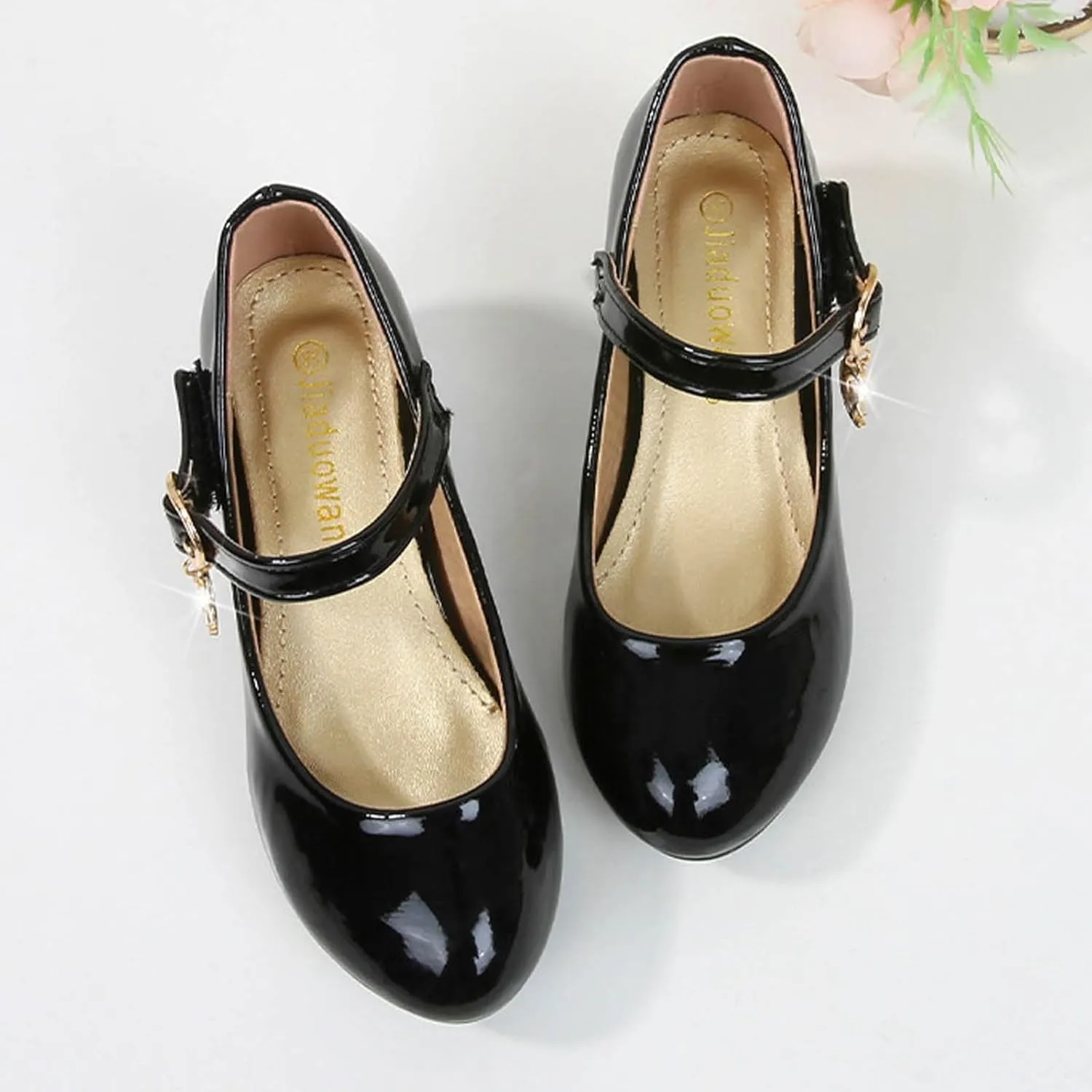 IWIHMIV Little Girls Mary Jane Shoes with Low Heel Comfortable Princess Dress Shoes for Wedding School Party